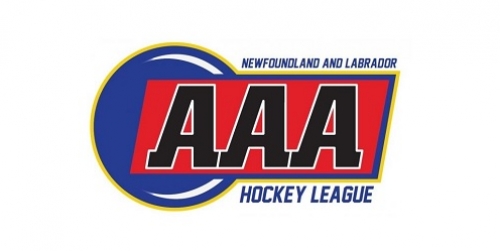 AAA PeeWee Tournament Takes Place This...